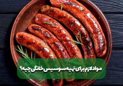 مواد لازم برای تهیه سوسیس خانگی